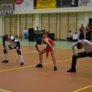 akrob 201